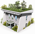 green roof graphic