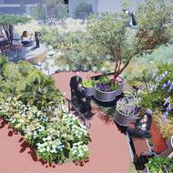 Former First Lady touts LAND student’s rooftop garden design