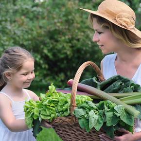 CHSD faculty fellow promotes family vegetable gardening