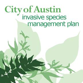 LAUP alums help shape city of Austin invasive species strategy
