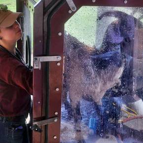Fab-Lab builds decontamination device for animal flood victims